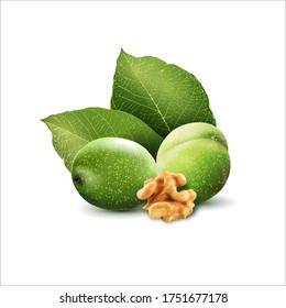 Green walnut; peeled walnut and its kernels. Isolated on a white background. Realistic vector illustration, 3d