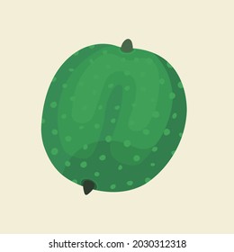 Green walnut. Vector illustration isolated on white background.