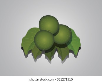 Green walnuts and leaves