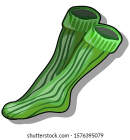 Green warm knitted knee socks isolated on a white background. Vector cartoon close-up illustration