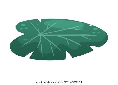 Green Water Lily Pad and Lotus Leaf Vector Illustration