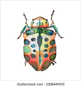 Green watercolor beetle. Watercolor vector illustration isolted on white