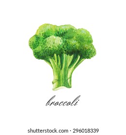 Green watercolor broccoli.