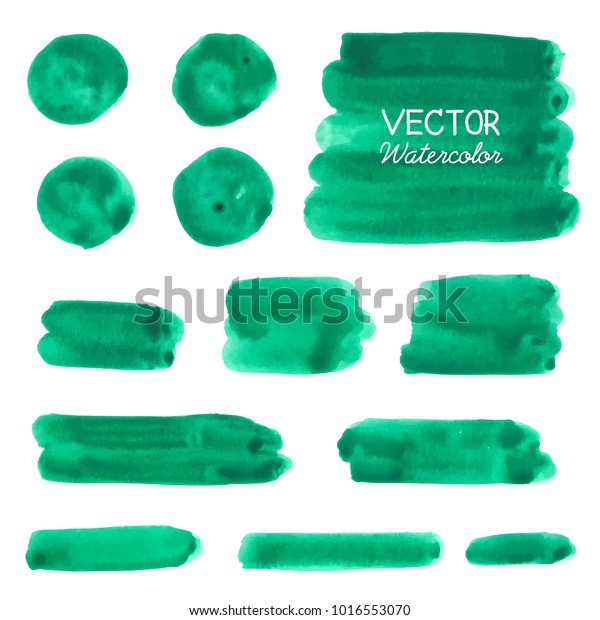 Green Watercolor Brush Strokes Vector Brush Stock Vector Royalty Free