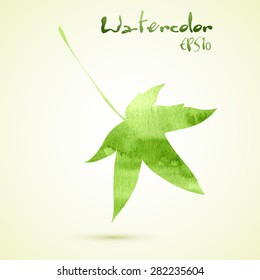 Green watercolor elegant painted spring maple leaf. Vector illustration EPS10.