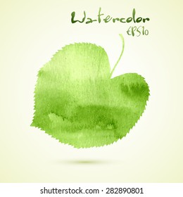 Green watercolor elegant spring leaf. Vector illustration EPS10.