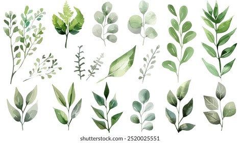 Green watercolor leaves on isolated background