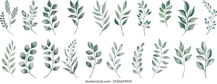 Green watercolor leaves on isolated background. Hand painted branches leaves, Eucalyptus leaves.