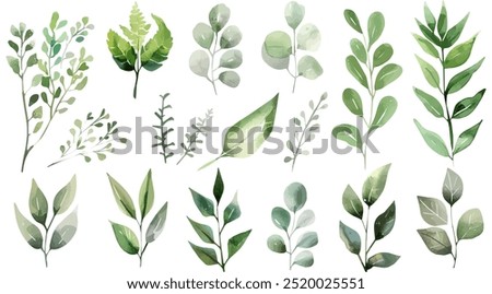 Green watercolor leaves on isolated background