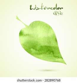 Green watercolor painted spring leaf. Vector illustration EPS10.