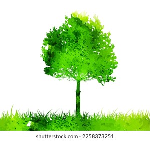 Green watercolor tree. Hello Spring. Vector illustration