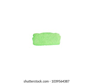 green watercolor vector backdrop for cute design tag, business card, invitation, web , text and logo isolated on transparent background. color like greenery, neon, dull, pale, emerald