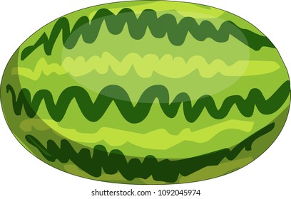 green watermelon from the garden