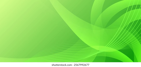 Green Wave Lines Pattern Background. Technology Banner. Vector Illustration. Abstract Nature Wallpaper