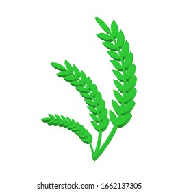 Green wheat ears on a white background 3d, vector