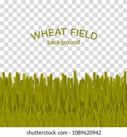 Green wheat field on checkered background.  Colorful vector illustration