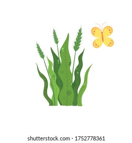 Green wheat plant near colorful butterfly icon. Cartoon of green wheat plant near colorful butterfly vector icon for web design isolated on white background