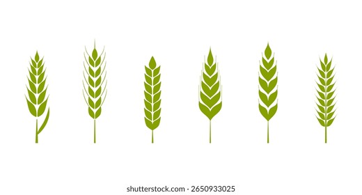 Green wheat stalks vector illustration. Collection of stylized wheat ears in different shapes and sizes, emphasizing agricultural themes and nature. Ideal for farming, organic products or food designs