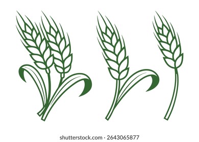 Green Wheat Vector Line Art Illustration Set Featuring Grain Stalks and Ears Design