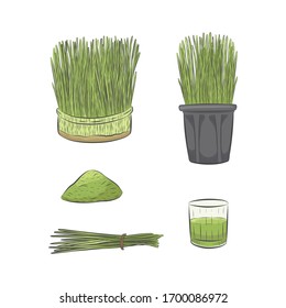 Grünes Weizengras, das Vektorillustration anbaut. Glas grünen Rohsaft. Handgezeichnete gesunde Ernährung. Haufen Weizengras mit Seil verbunden.