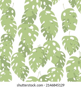 Green and white seamless pattern with sprigs. Vector stock illustration for fabric, textile, wallpaper, posters, paper. Fashion print. Branch with monstera leaves. Doodle style.