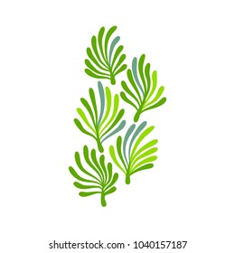 Green and white seaweed plant with leaves floral logo, vector