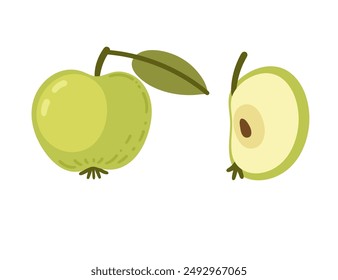 Green whole apple with green leaf and slice of apple with seed. Fruit cross section with flesh, stem and leaf. Juice healthy vitamin nutrition. Vector illustration isolated on white background
