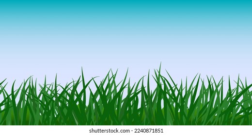 Green wild grass field against clear blue sky. Front view. Rural nature, pasture grassland in spring or summer. Seamless stripe, horizontal border, background for designs