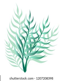Green wild plant. Lawns and pasture short plants, growing meadow wild or garden cultivated, cattle food. Flat vector illustration isolated on white background.