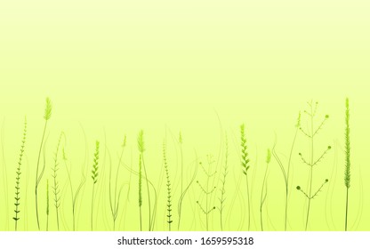 Green wild plants hand drawn vector