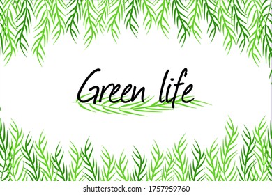 Green willow vector frame template. Nice hand drawn illustration with place for text for banner, postcard, card, calendar, planner, poster.
