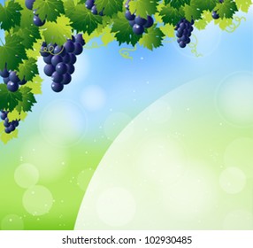 green wine and bunch of blue grapes on summer abstract blur background