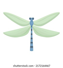 Green wing dragonfly icon cartoon vector. Bug insect. Nature fly