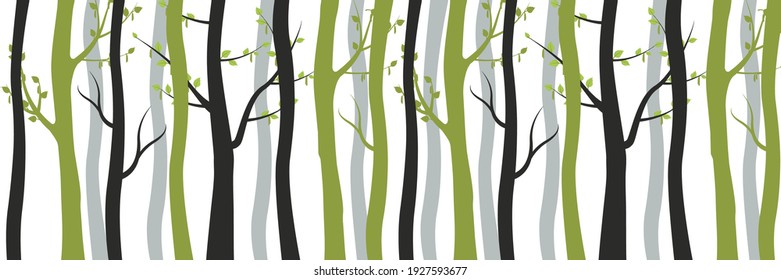 Green and withered black trees in forest background. Slender young birches with blossoming leaves and old dead trunks intertwined between vector itself.