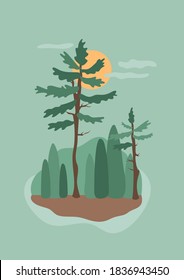 Green woodland coniferous forest poster. Simple graphic print with pine tree, cypress and abstract hills shapes. Sunset with clouds. Flat modern style. Vector illustration with timberland, wildlife