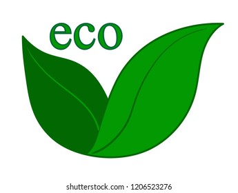 green word eco with green leaмуы on the white background	