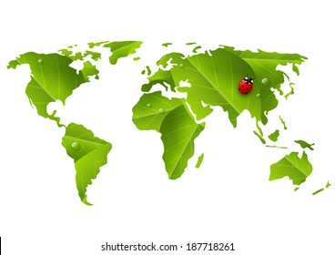 Green World map with ladybug