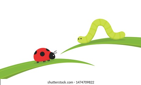 Vector de gusano verde ladybug. vector de caricatura de gusano. fondo de pantalla. espacio libre para texto. Gusano verde en la hoja.