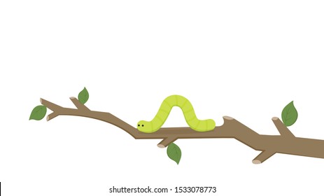 Green worm vector. worm cartoon vector. wallpaper. free space for text. Green worm on the tree branch.