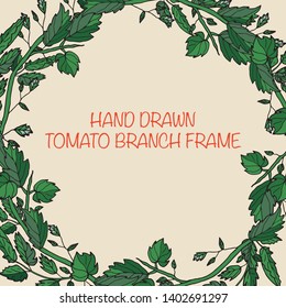 Green wreath from branch tomato. Isolated decorative round frame. Hand drawn style. Botanical card for farm .