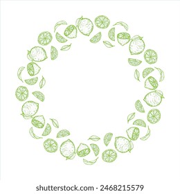 Green wreath of sketch fruits slices vector illustration. Hand drawn harvest circle on white background. Citrus fruits in form of frame for decoration.