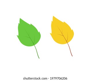 Green and yellow aspen birch leaf isolated on white, vector illustration concept of the transition of summer to autumn