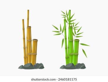 Green and Yellow Bamboo Tree Design Illustration