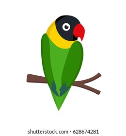 Green and yellow with black head and red beak lovebird parrot sitting on the branch