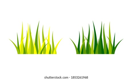 Green and yellow grass fresh natural eco icon isolated on white background vector illustration.