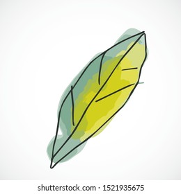 Green yellow leaf hand drawn watercolor style fruit set paint ink sketch illustration simple art paint easy to change colors vector