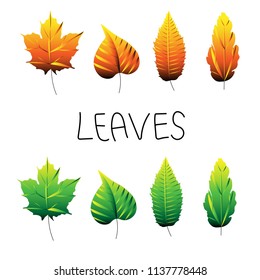 Green and yellow leaves. vectors and  eps10. 