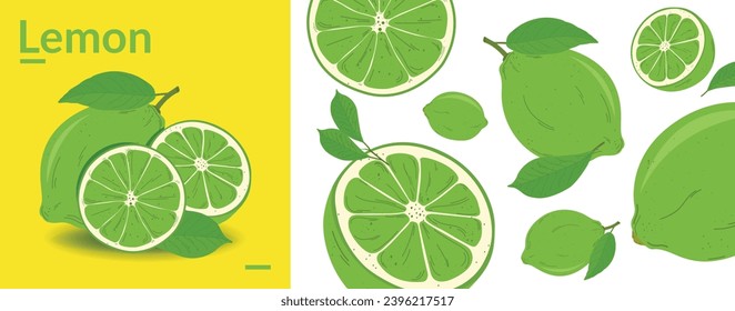 green yellow Lemon citrus background. Flying Lemon with green leaf on transparent background. Lemon falling from different angles. Focused and blurry fruits. Realistic vector illustration .