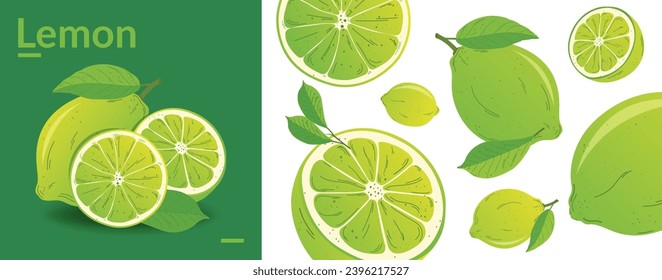 green yellow Lemon citrus background. Flying Lemon with green leaf on transparent background. Lemon falling from different angles. Focused and blurry fruits. Realistic vector illustration .