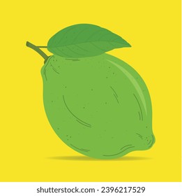 green yellow Lemon citrus background. Flying Lemon with green leaf on transparent background. Lemon falling from different angles. Focused and blurry fruits. Realistic vector illustration .